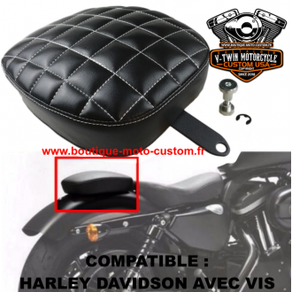 Harley Davidson passenger beanbag and...