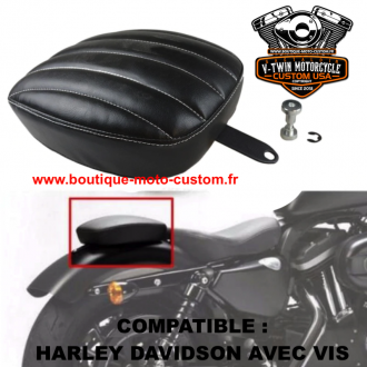 Pouf passager Harley Davidson et moto...