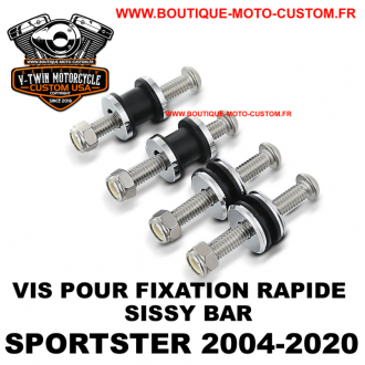 KIT VIS DE FIXATION POUR SISSY BAR...