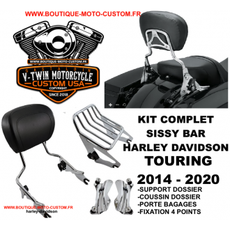Detachable sissy bar / Harley...