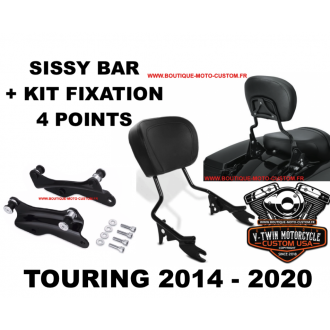 copy of Detachable sissy bar / Harley...