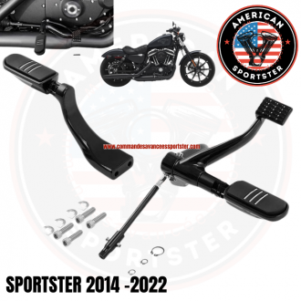 Central / medium footpeg controls...